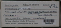 Image Associated With the Occurence